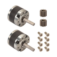 BTT (FUN)CTIONALS - DeathRacer Kit V2 Piranha