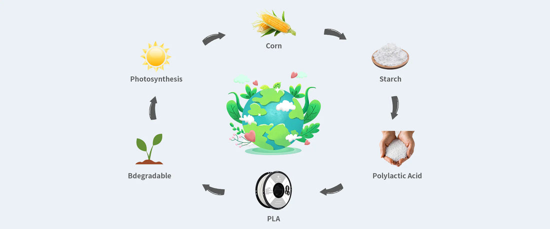 Qidi PLA Rapido 1.75 mm Filament 1kg spools