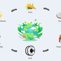 Qidi PLA Rapido 1.75 mm Filament 1kg spools